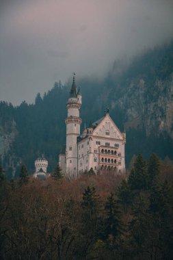 Almanya 'nın güneybatısındaki Fussen yakınlarındaki ünlü Neuschwanstein Kalesi' nin dikey çekimi.