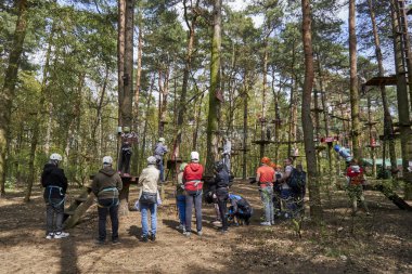 A group of people watching climbers on a tree in the Pyrland climbing park in Poland