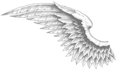 Bir melek kanadının dijital siyah beyaz dövmesi.