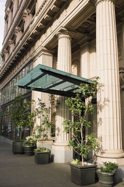 Sütunları ve bitkileri olan lüks bir otelin güzel manzarası.