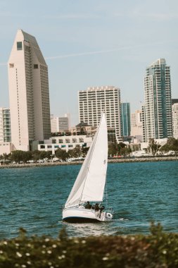 San Diego Limanı yakınlarında beyaz bir yelkenlinin dikey görüntüsü.