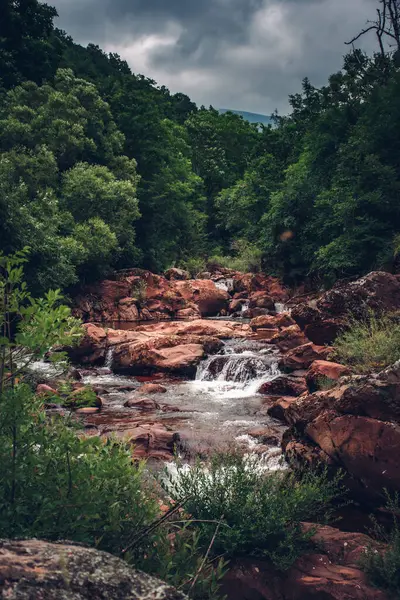 Stream Flowing Rocks Forest — Zdjęcie stockowe