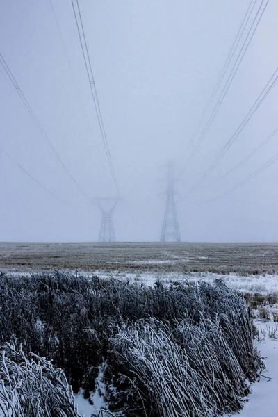 A vertical shot of frozen Wheat Field with high voltage towers and lines in the back in the mist