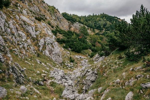 Beautiful Nature Montenegro Mountains — Stock Photo, Image