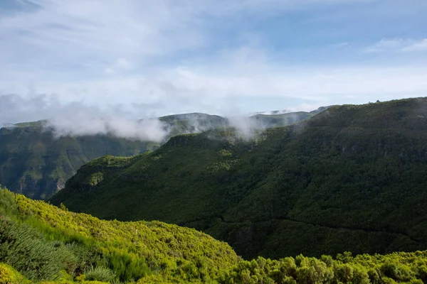 Захватывающий Вид Зеленые Горные Вершины Тумане — стоковое фото