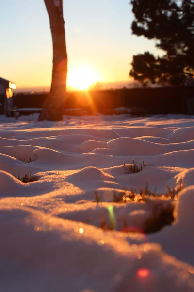 Vertikal Bild Solljuset Som Täcker Den Snöiga Marken — Stockfoto