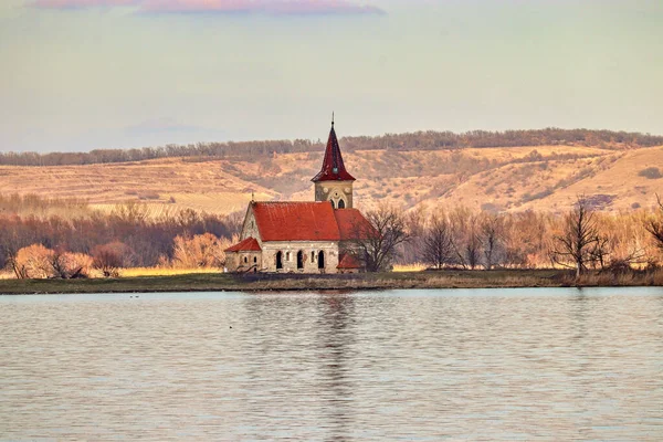 Ruins Old Church Island Musov Czech Republic — Stock Photo, Image