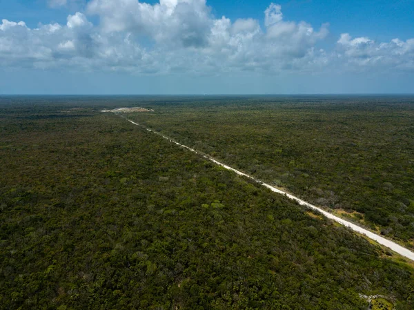 Aerial View Highway Surrounded Endless Forest Trees Sunny Day — Foto Stock