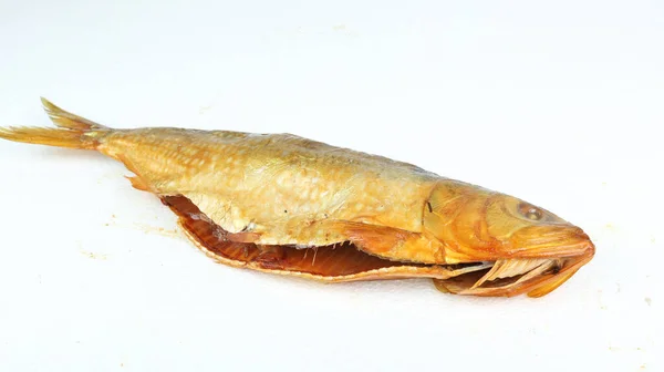 一只白色背景的熏鱼的特写镜头 — 图库照片