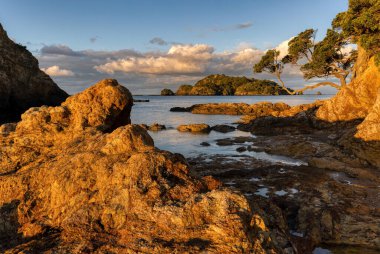 Stunning, unspoilt coastline of Bland Bay, late afternoon sun highlighting exposed rocks at low tide
