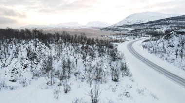 Soğuk bir kış gününde ormanı olan güzel, karlı bir manzara.
