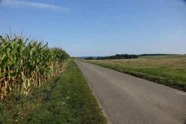 Tarımsal alanlarla çevrili bir otoyolun perspektif görüntüsü.