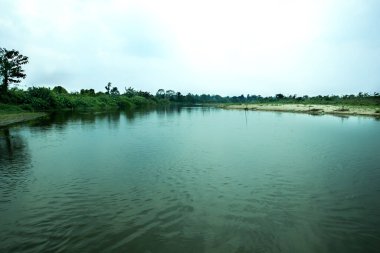 Nehrin kıyısında yeşilliği olan bir nehrin sakin suyu.