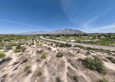 Lemmon Dağı 'nın vahşi doğasının güzel bir manzarası.