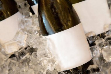 Kopyalama alanını buzla kapat