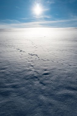 Güneş ışığının altındaki karlı zeminin dikey görüntüsü.