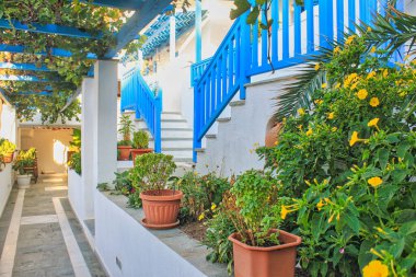 Yunanistan 'ın Naxos kentinde mavi beyaz bir evin yakınında bir grup saksı bitkisi.