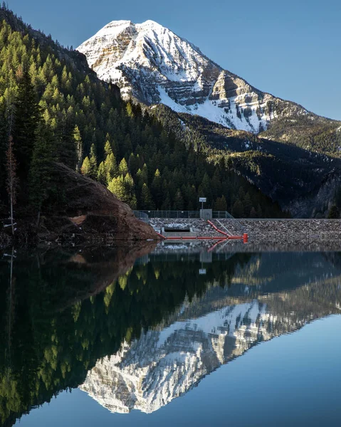 Snowy Peak Trees Reflected Lake — Fotografia de Stock