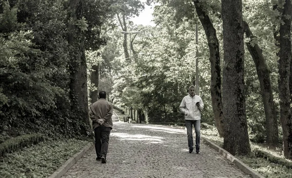 Two Men Walking Side Side Forest Istanbul Turkey — Stock Photo, Image