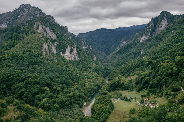 Uma Vista Aérea Vegetação Nas Montanhas Montenegro Com Estreito Riacho — Fotografia de Stock