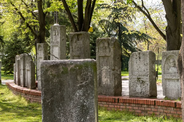 晴れた日にセルビアのニスに木がある公園で多くの古い石の墓のサイドショット — ストック写真