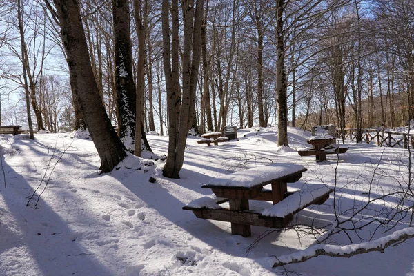 A view of snow covered benches among trees
