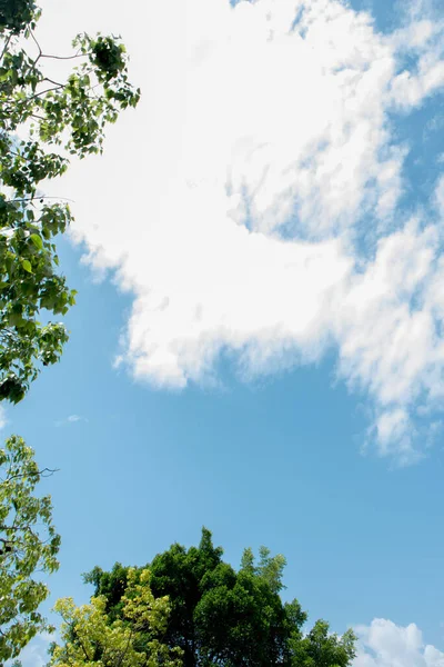 Μια Κάθετη Λήψη Από Λευκά Σύννεφα Που Επιπλέουν Στον Γαλάζιο — Φωτογραφία Αρχείου