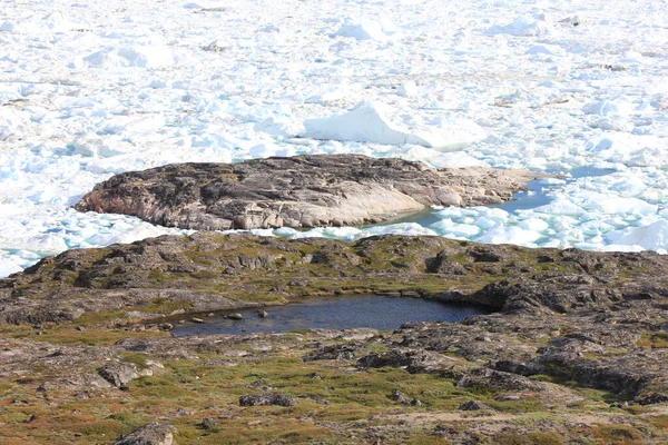 Paesaggio Costiero Con Campi Ghiaccio Orizzontale Ilulissat Groenlandia — Foto Stock