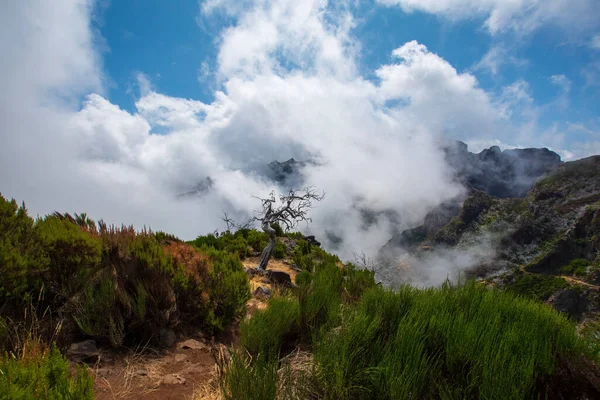 Захватывающий Пейзаж Пышной Зеленью Скалистыми Горами Тумане Фоне Голубого Неба — стоковое фото