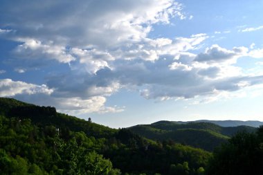 Robert Louis Stevenson Eşeğin Macerası