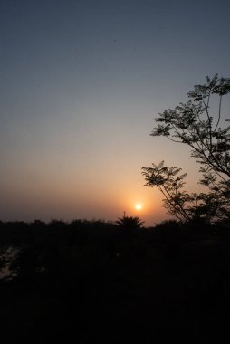 A vertical shot of a landscape with trees under the stunning sunset sky