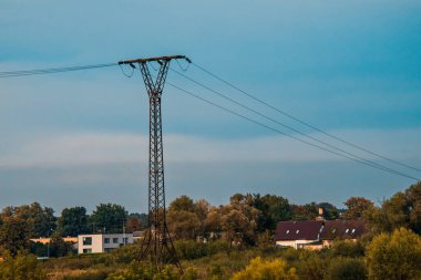 A bright summer day outdoors with an electricity tower surrounded by thick lush greenery