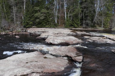A beautiful shot of rocky ground in a river with trees in the background
