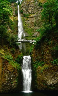 A mesmerizing view of a waterfall flowing over the mossy rocks with a bridge in a forest