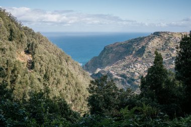 Deniz manzaralı yeşil ormanlık kayalık tepelerin güzel bir görüntüsü.