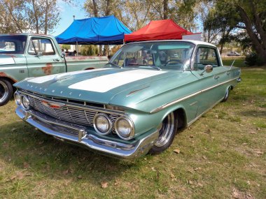 Old grey Chevrolet Chevy Bel Air sedan four door 1961 classic touring car parked on the grass. Nature trees. Copyspace