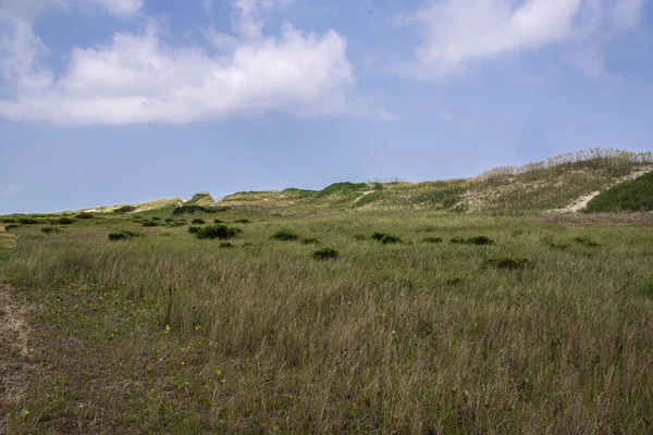 Eine Reihe Von Sanddünen Helfen North Carolina Vor Den Auswirkungen — Stockfoto