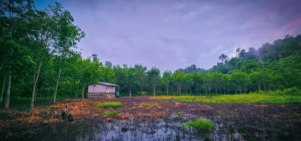 雨天在美丽的森林里的一座白色房子的全景 — 图库照片