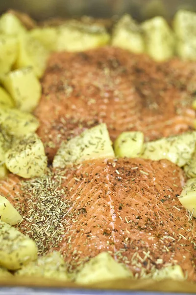 Raw Salmon Fish Meat Potatoes Baking Tray — Stock Photo, Image