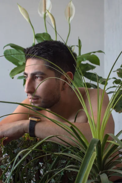 年轻的墨西哥男子 留着短发 被植物簇拥着 — 图库照片