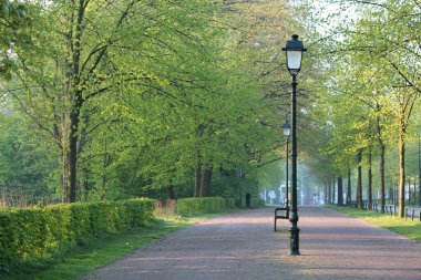 Parktaki bir patikada, parlak gökyüzü olan yeşil ağaçlarla güzel bir sokak lambası manzarası.