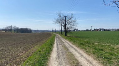 Gündüz vakti mavi gökyüzünün altında boş bir yol