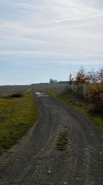 Gündüz vakti mavi gökyüzünün altında boş bir yol