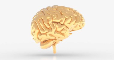 Beyaz arka planda bir beynin 3 boyutlu canlandırması - yapay zeka kavramı