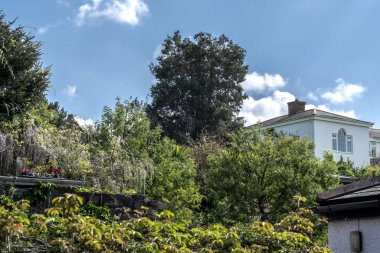 Devon, İngiltere 'deki teraslı bahçelerin havadan görünüşü