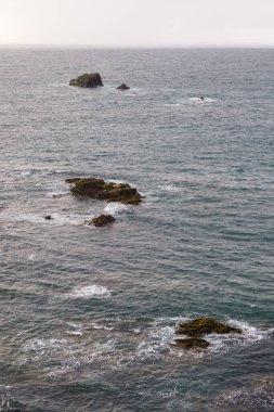 Şili 'de bulutlu bir günde güzel bir denizin dikey çekimi