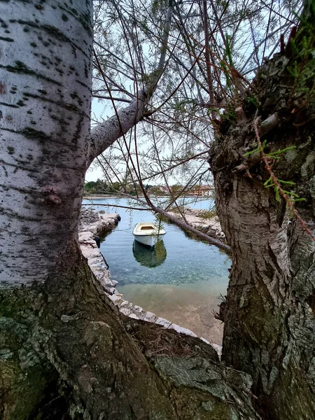 一个平静的湖中的一个垂直镜头 有一艘小渔船停在海岸附近的树中央 — 图库照片