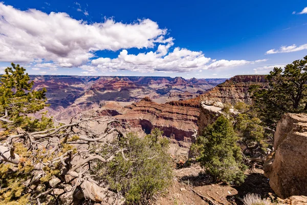 Güneşin altında Büyük Kanyon 'un güzel bir manzarası
