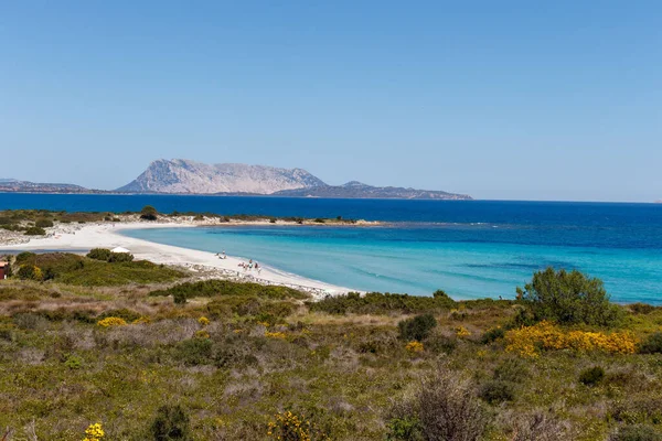 Isuledda Beach Sardinia Turquoise Water Little Lagoon — Stock Photo, Image