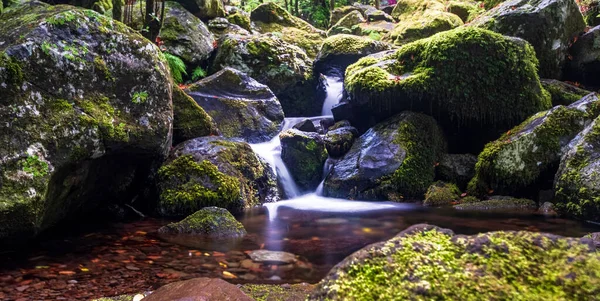 一片令人叹为观止的风景 小小的瀑布流过布满苔藓的大石头 — 图库照片